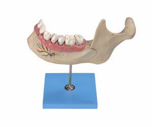 BioLab Products